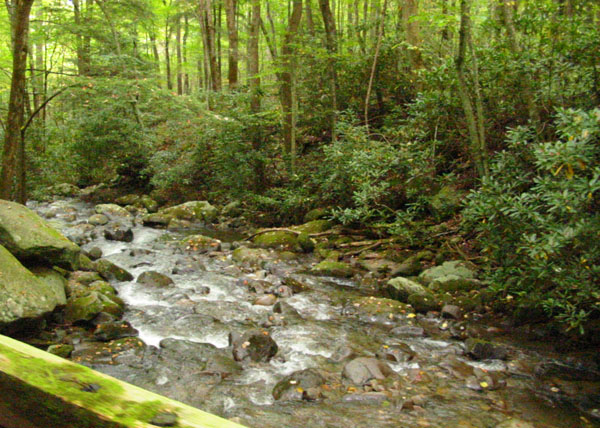 creek_along_nat.trail