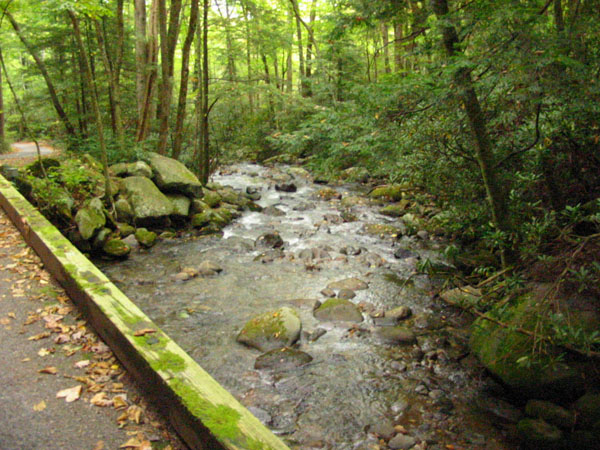 creek_along_nat.trail2