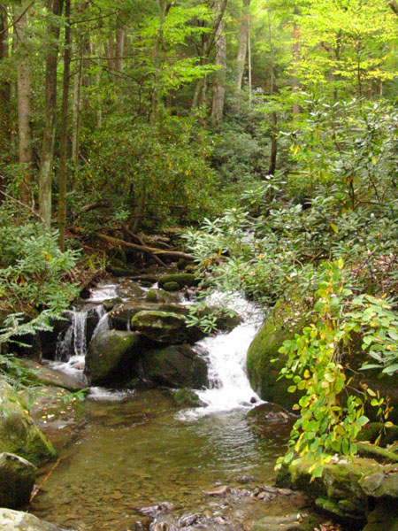 creek_along_nat.trail3