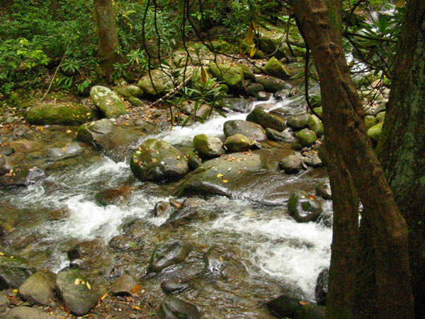 creek_along_nat.trail4