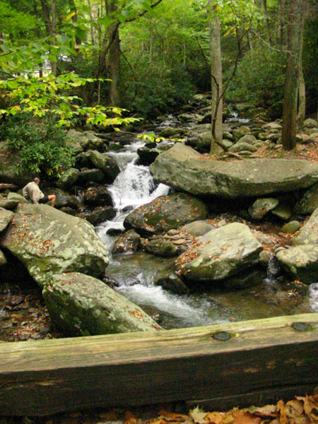 waterfall_along_trail